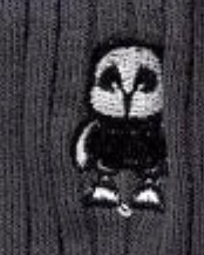 طوسی طرح جغد