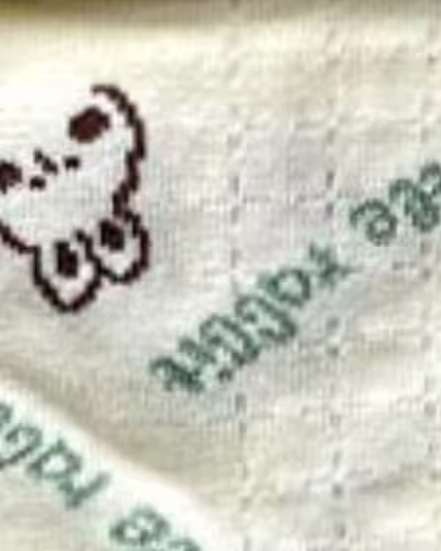 شیری طرح خرگوش