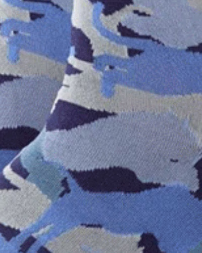 طرح-ببر-آبی