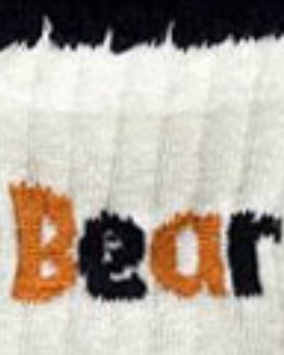 شیری طرح BEAR