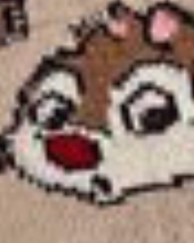 تمام قهوه ای سنجاب