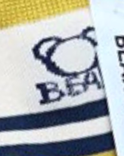 سفید طرح خرس