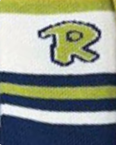 سرمه ای طرح R